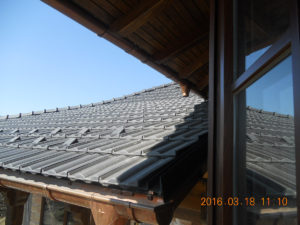 DSCN6689